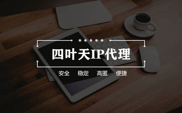 【醴陵代理IP】如何快速搭建代理IP？怎么检查代理的效果？